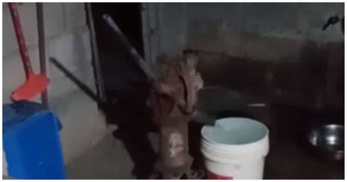Imbis na katakutan; Video ng poso na kusang naglalabas ng tubig, kinagiliwan ng netizens Imbis na katakutan; Video ng poso na kusang naglalabas ng tubig, kinagiliwan ng netizens