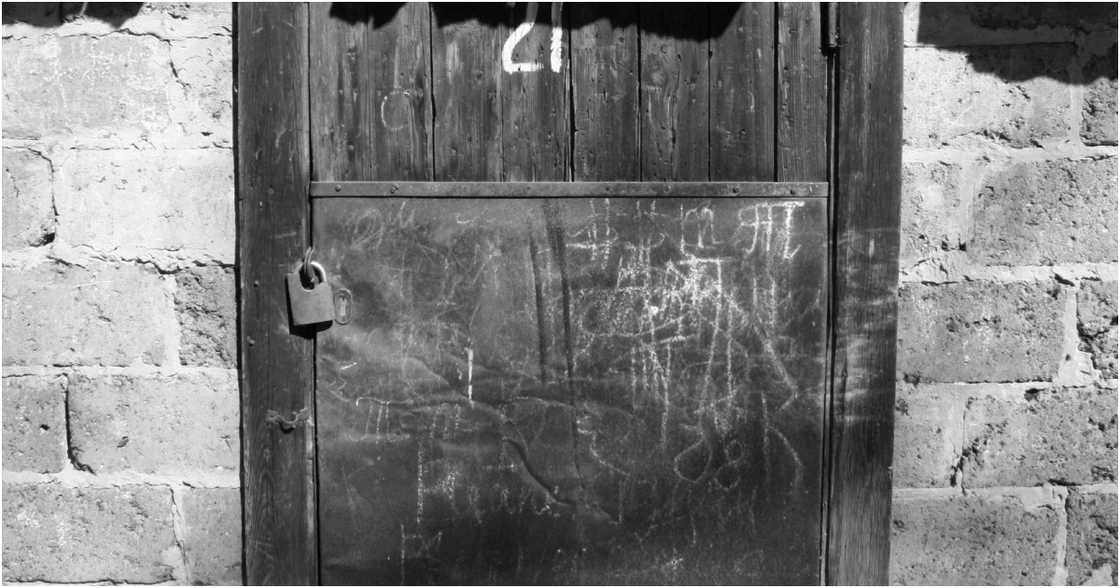 Vanya on Pexels Vanya on Pexels