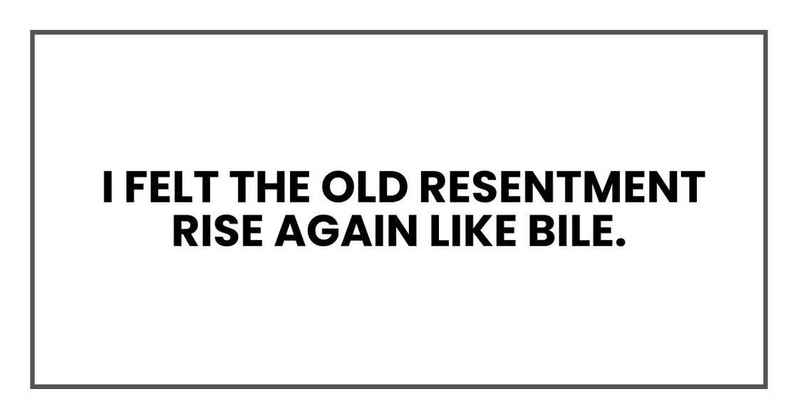 I felt the old resentment rise again like bile. I felt the old resentment rise again like bile.