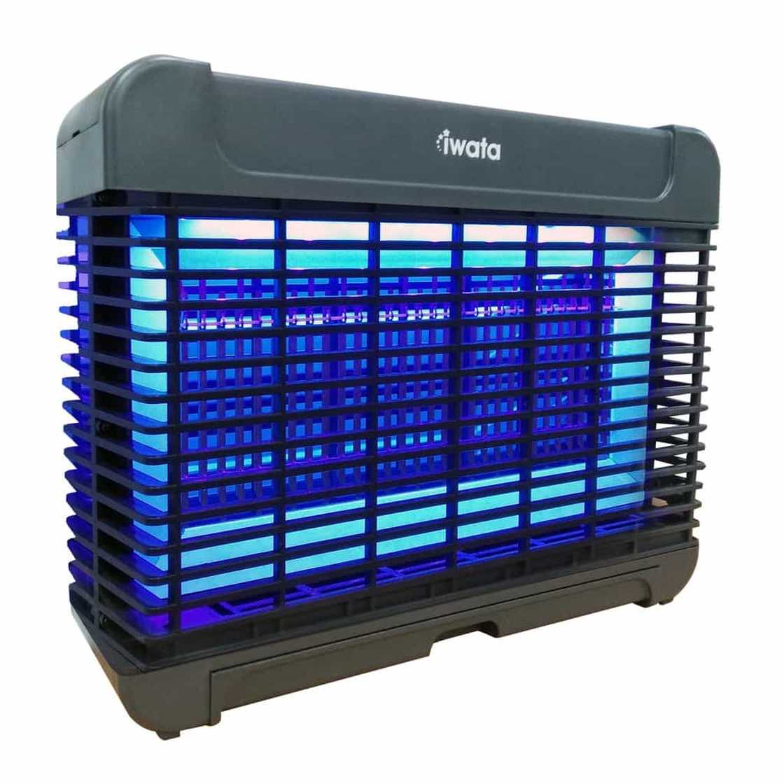 Best electric insect killers you should buy to combat dengue season Best electric insect killers you should buy to combat dengue season