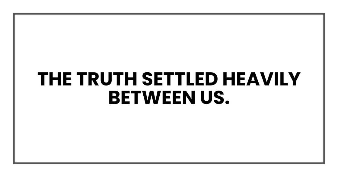 THE TRUTH SETTLED HEAVILY BETWEEN US THE TRUTH SETTLED HEAVILY BETWEEN US