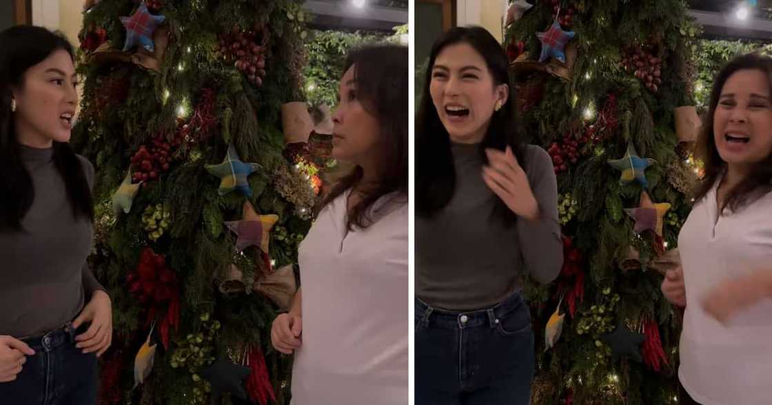 Loren Legarda, pabirong nainis sa joke ni Alex Gonzaga ukol sa Christmas tree Loren Legarda, pabirong nainis sa joke ni Alex Gonzaga ukol sa Christmas tree