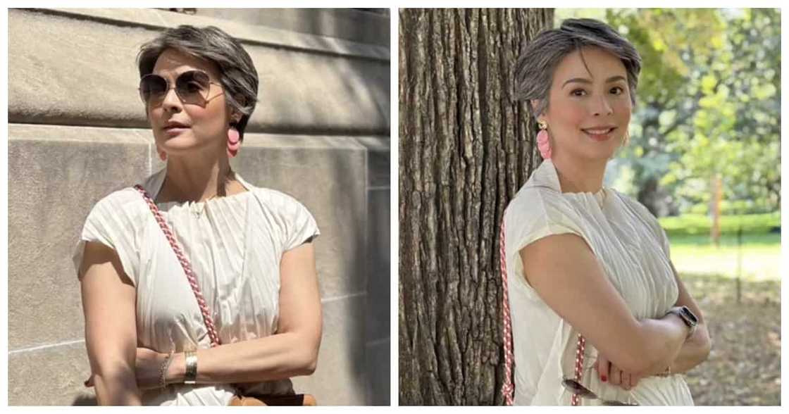 Netizens gush over Dawn Zulueta's timeless beauty in viral video montage