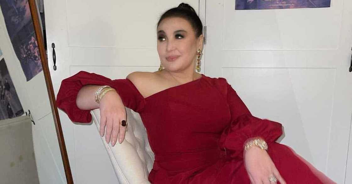 Sharon Cuneta/@reallysharoncuneta