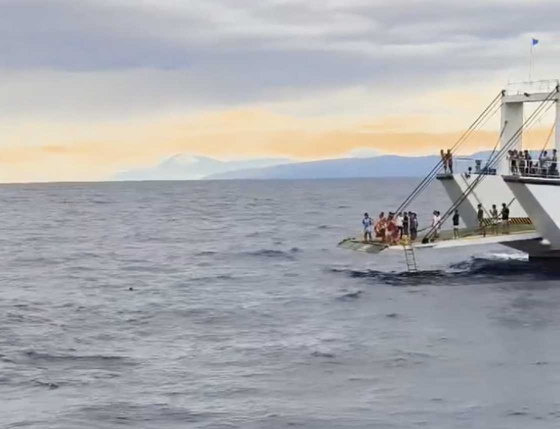 Lalaki na tumalon mula barko papuntang Bohol, nailigtas matapos tanggihan ang life ring Lalaki na tumalon mula barko papuntang Bohol, nailigtas matapos tanggihan ang life ring