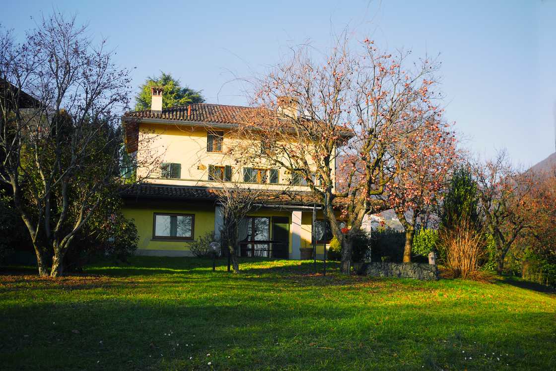 A peaceful mansion garden at sunrise. A peaceful mansion garden at sunrise.
