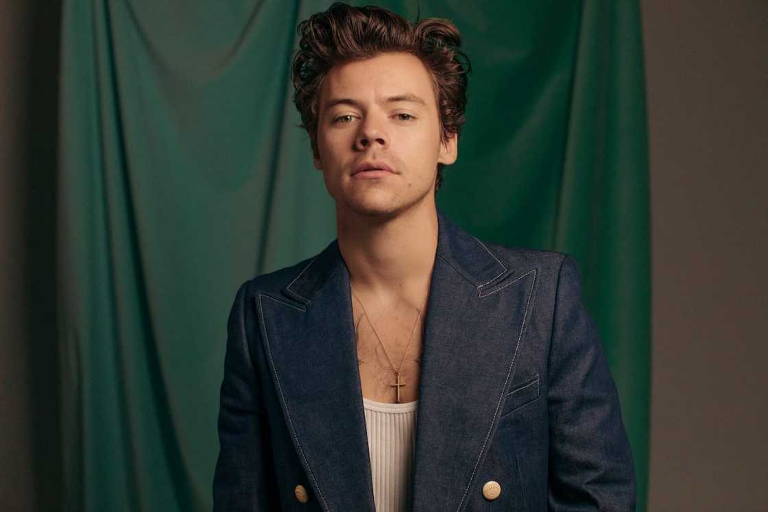Harry Styles Harry Styles