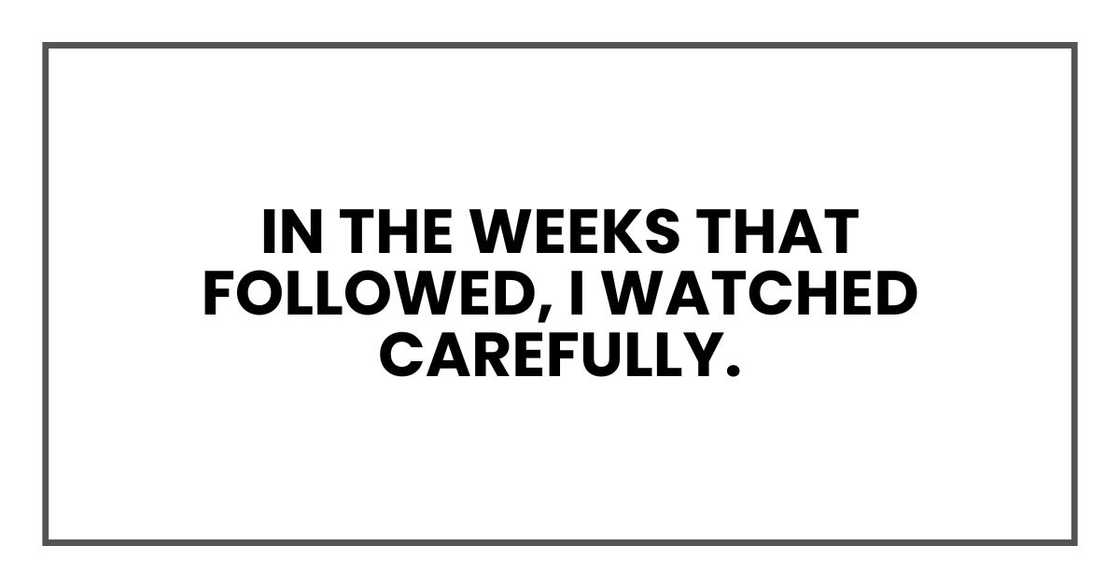 In the weeks that followed, I watched carefully. In the weeks that followed, I watched carefully.