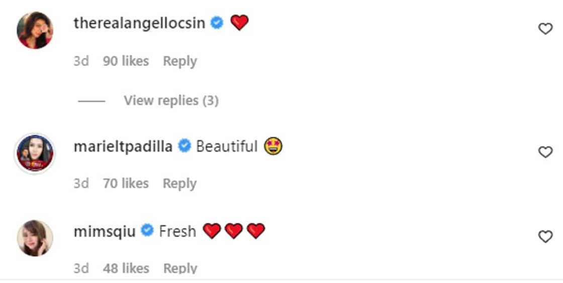 Bea Alonzo's lovely photos receive praises from Mariel Padilla, other celebs Bea Alonzo's lovely photos receive praises from Mariel Padilla, other celebs