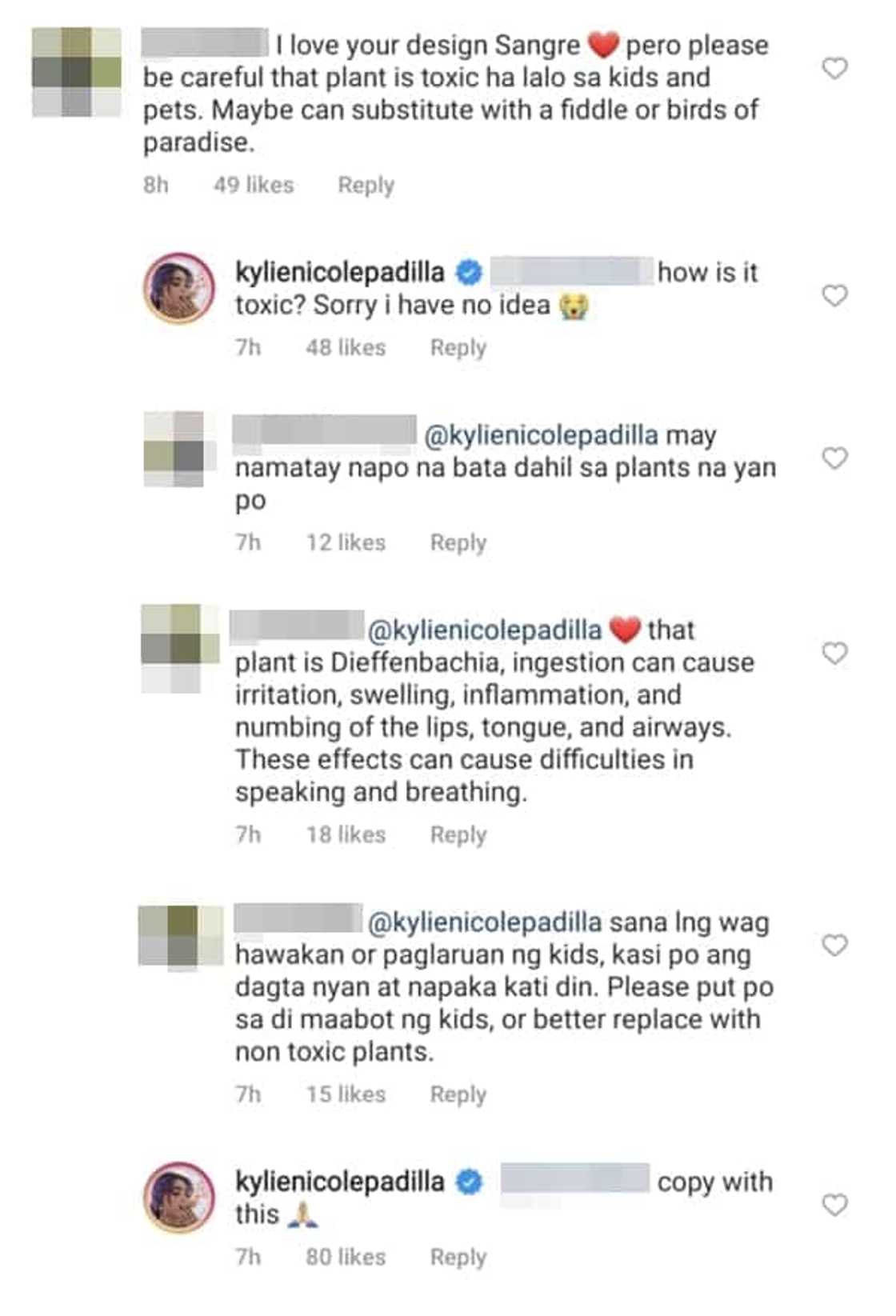 Kylie Padilla receives warning from concerned netizen about her house plant Kylie Padilla receives warning from concerned netizen about her house plant