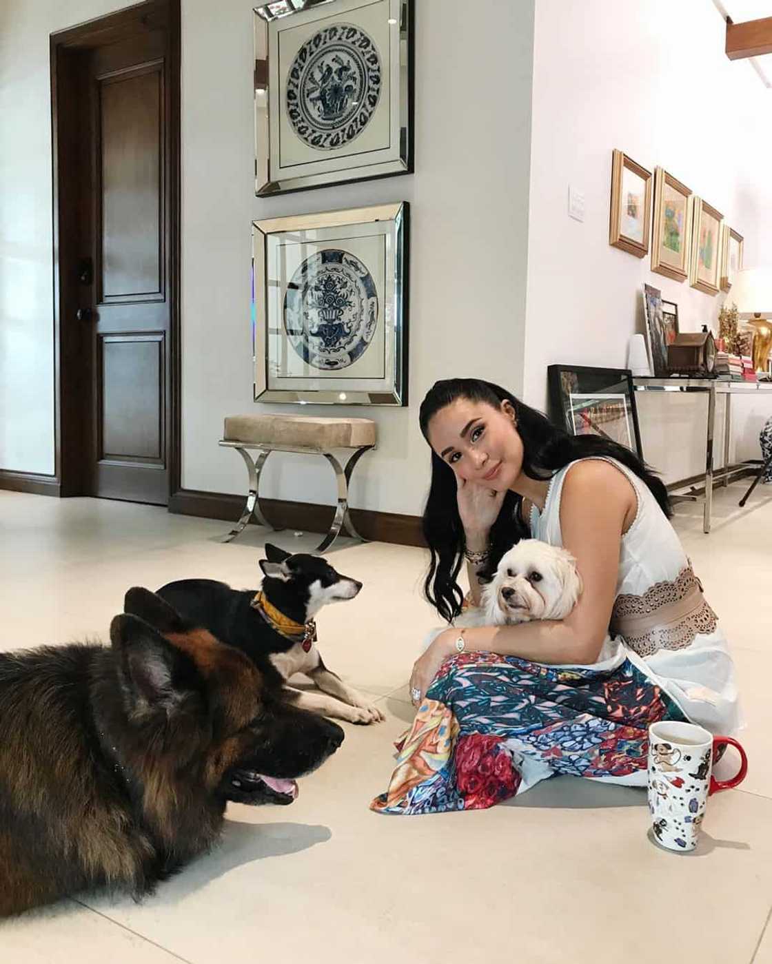 Heart Evangelista