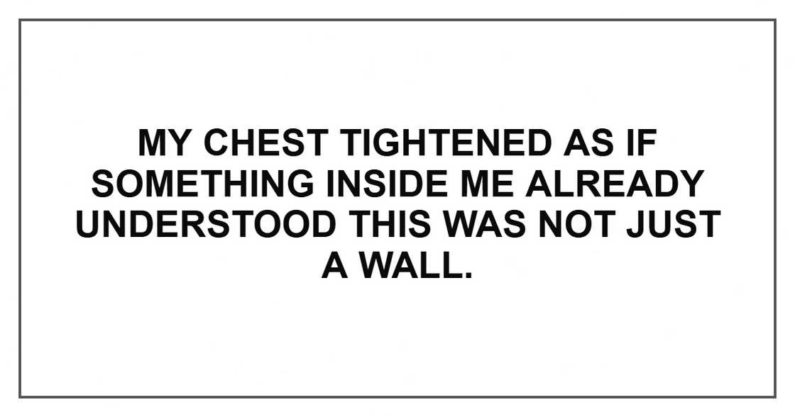My chest tightened as if something inside me already understood this was not just a wall.