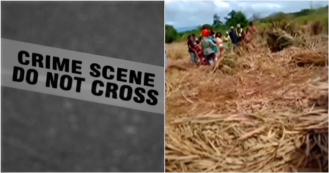 Mark D'aiuto on Pexels
Frontline Pilipinas Weekend/TV 5/News5Everywhere on YouTube Mark D'aiuto on Pexels
Frontline Pilipinas Weekend/TV 5/News5Everywhere on YouTube