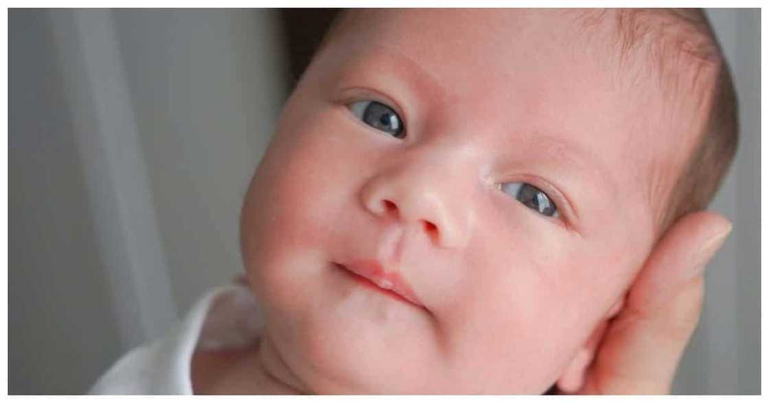 Isabella Rose Manzano @luismanzano Isabella Rose Manzano @luismanzano