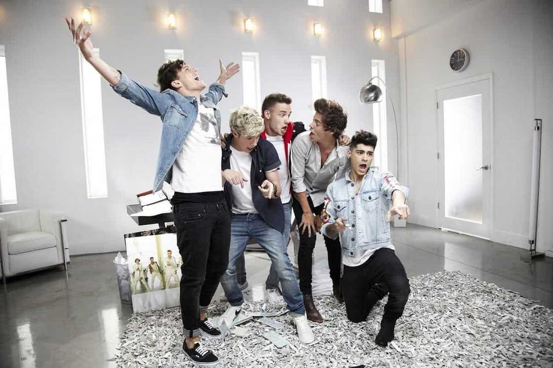 One direction members names One direction members names