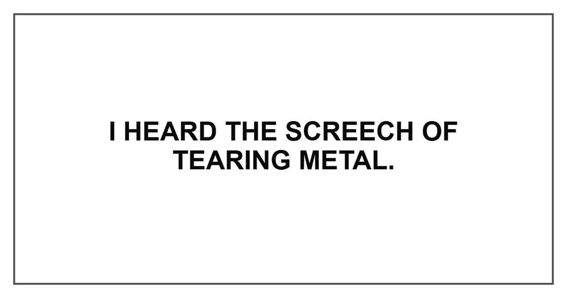 I heard the screech of tearing metal. I heard the screech of tearing metal.
