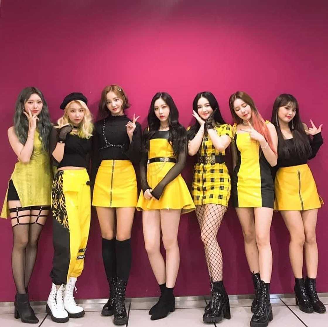 how many members are in Momoland how many members are in Momoland