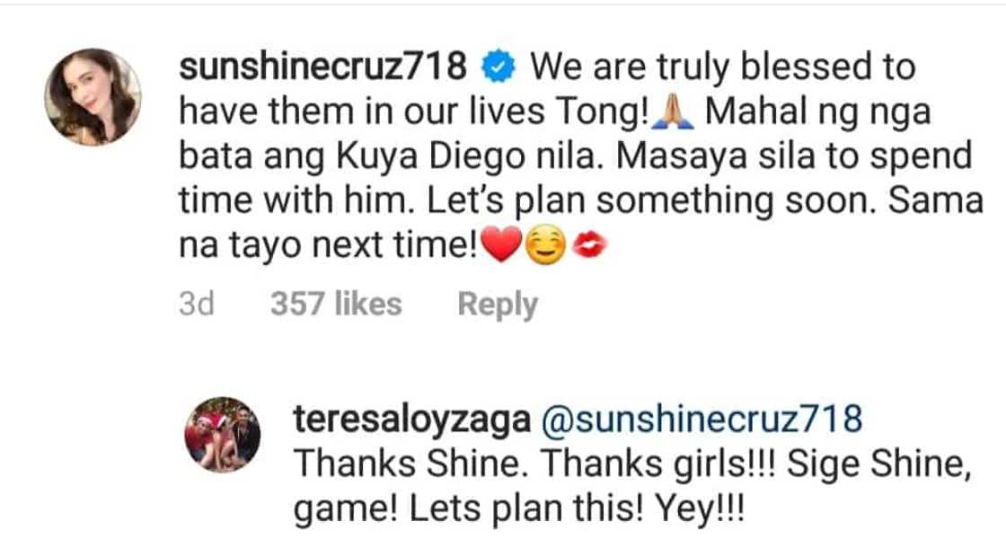 Cesar Montano’s ex-lovers Sunshine Cruz, Teresa Loyzaga, nag-usap online Cesar Montano’s ex-lovers Sunshine Cruz, Teresa Loyzaga, nag-usap online