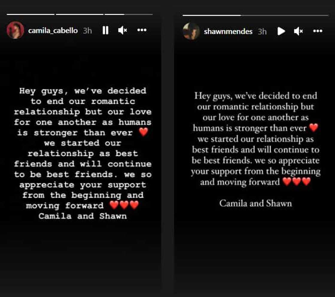 Camila Cabello and Shawn Mendes confirm split in a joint statement