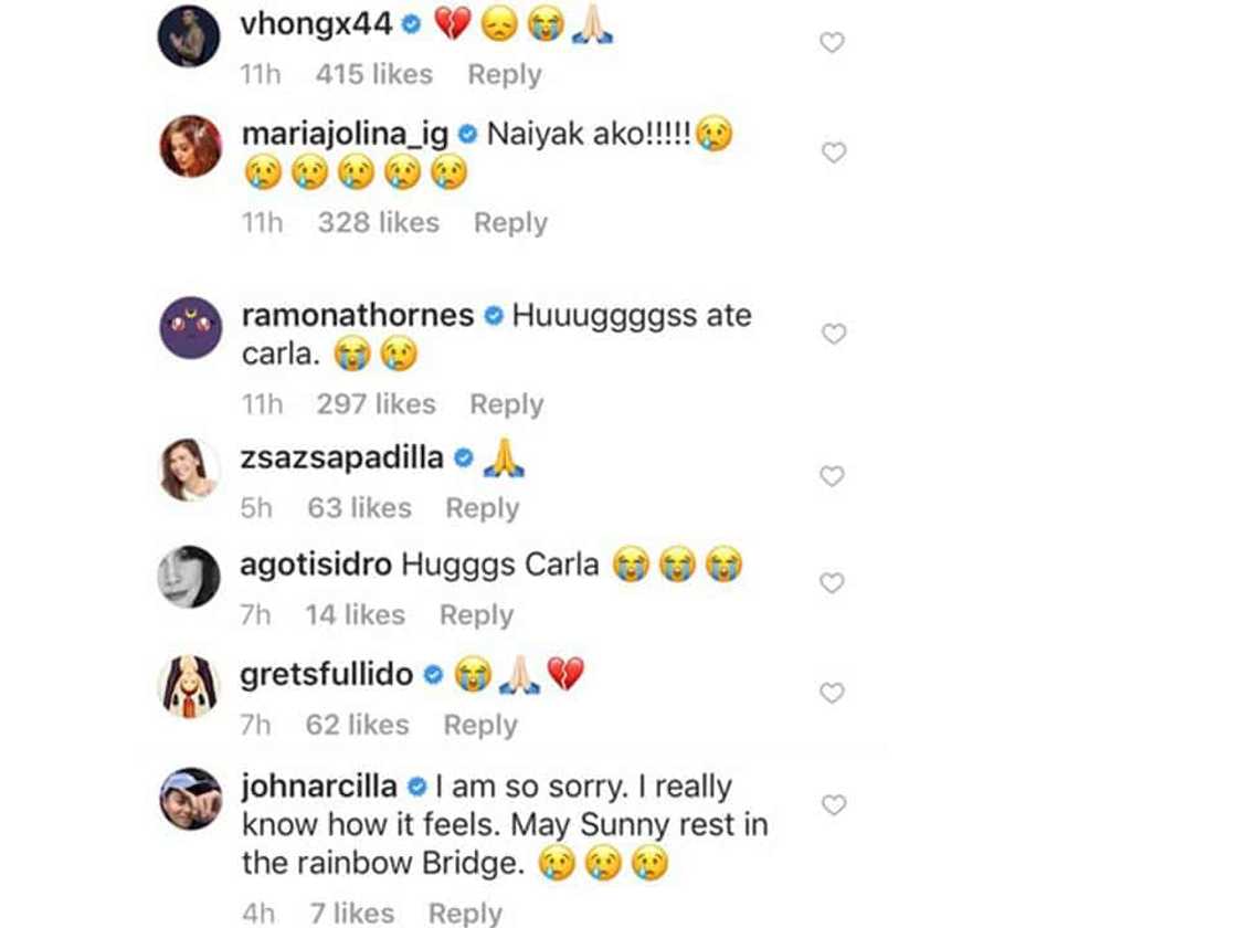 ABS-CBN & GMA celebs react to Carla Abellana’s mourning for the loss of her dog ABS-CBN & GMA celebs react to Carla Abellana’s mourning for the loss of her dog