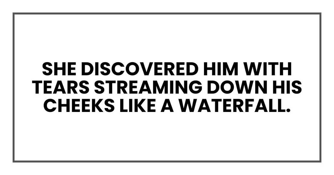 she discovered him with tears streaming down his cheeks like a waterfall.