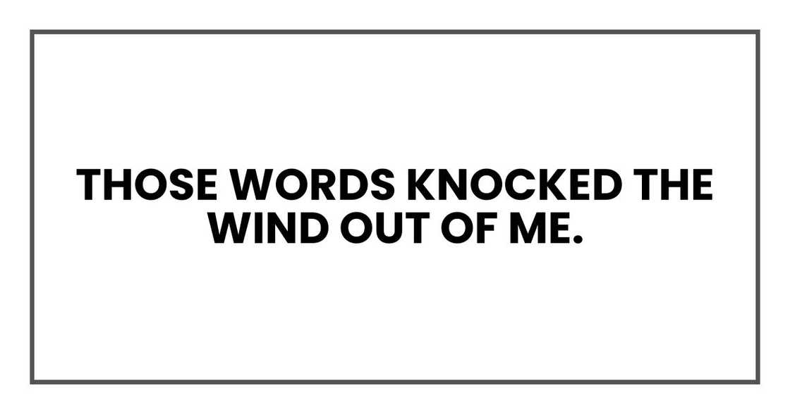 Those words knocked the wind out of me. Those words knocked the wind out of me.