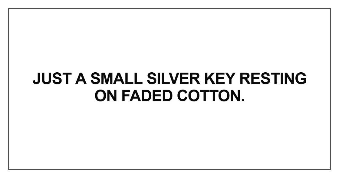 Just a small silver key Just a small silver key