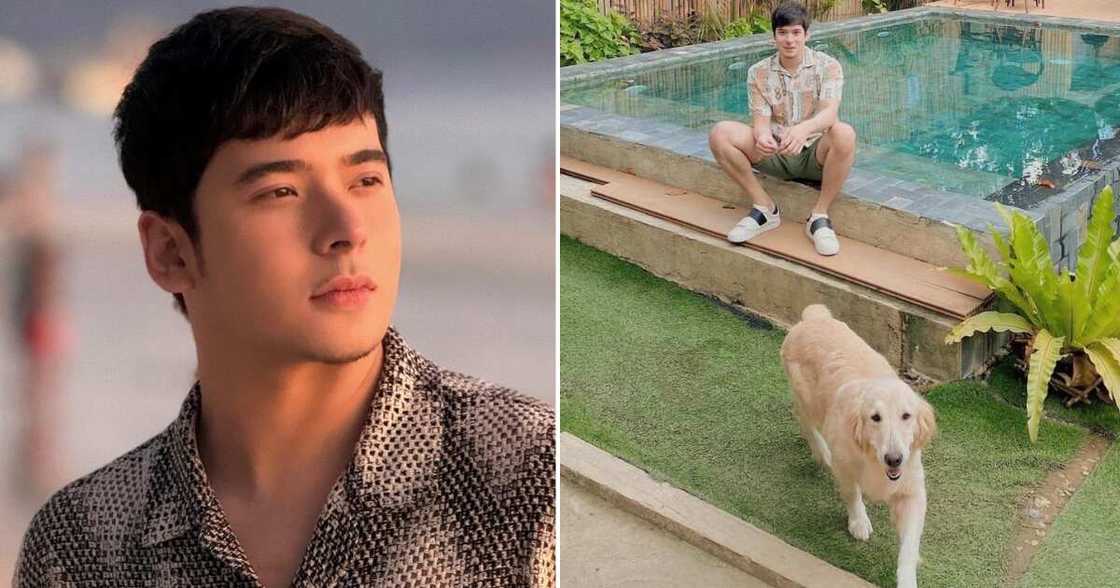 Pet crematorium, nag-isyu ng apology matapos ang reklamo ni Christian Bables ukol sa aso niya Pet crematorium, nag-isyu ng apology matapos ang reklamo ni Christian Bables ukol sa aso niya