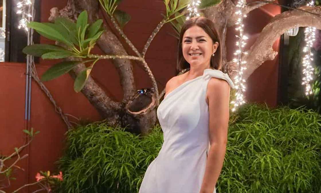 Alice Dixson husband Alice Dixson husband