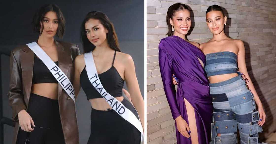 Michelle Dee and Anntonia Porsild’s shared magazine cover delights “PorDee” fans