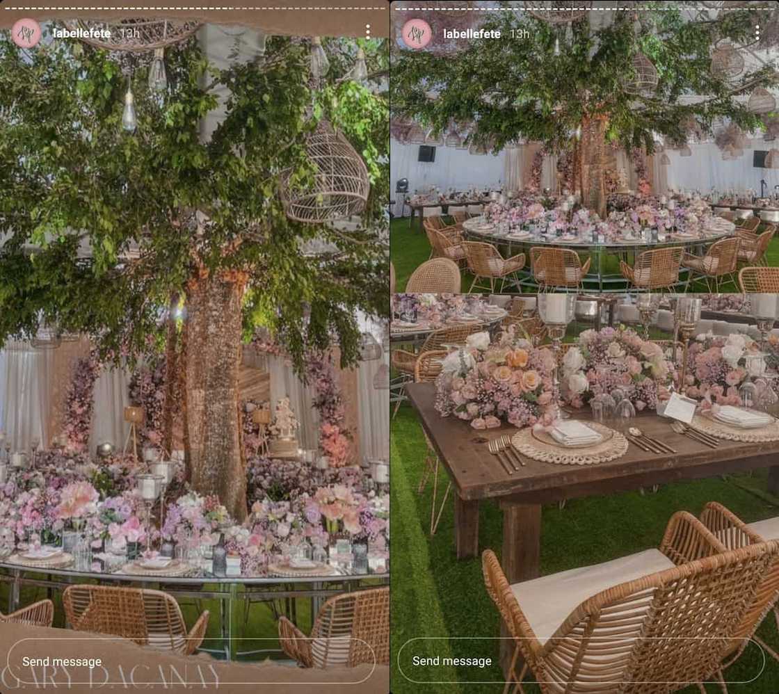 Photos from Ellen Adarna, Derek Ramsay's lavish wedding reception goes viral Photos from Ellen Adarna, Derek Ramsay's lavish wedding reception goes viral