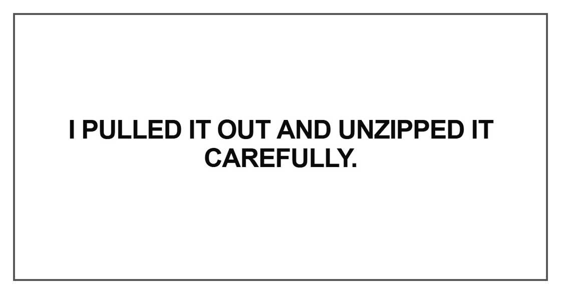 I pulled it out and unzipped
