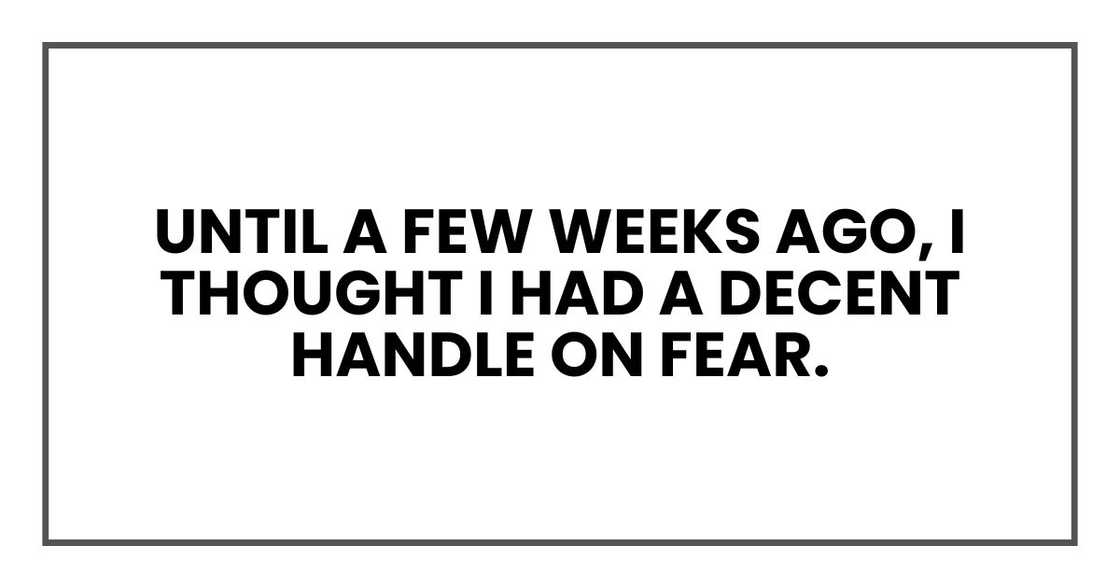until a few weeks ago, I thought I had a decent handle on fear. until a few weeks ago, I thought I had a decent handle on fear.