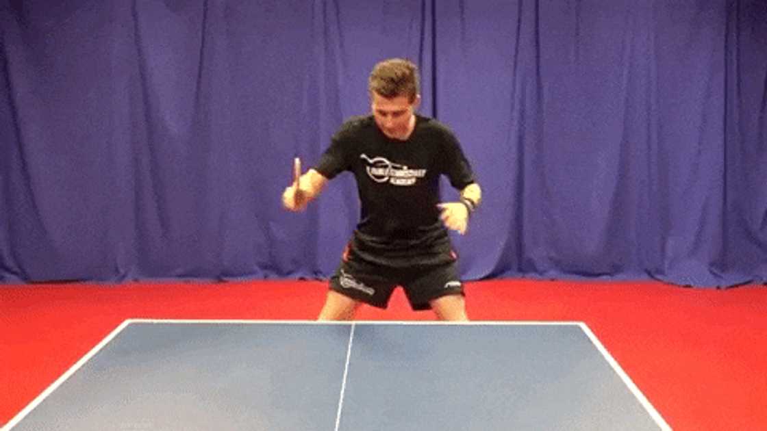 Table tennis basics Table tennis basics