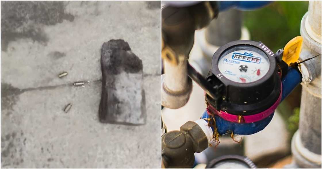 GMA Integrated News on YouTube
Nothing Ahead on Pexels GMA Integrated News on YouTube
Nothing Ahead on Pexels