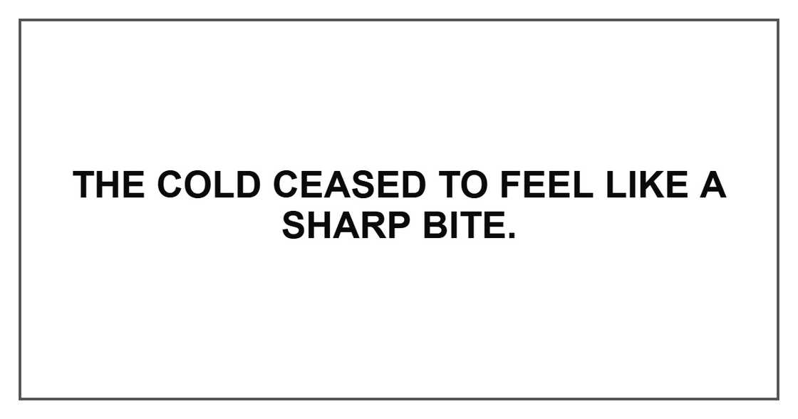 The cold ceased to feel like a sharp bite. The cold ceased to feel like a sharp bite.