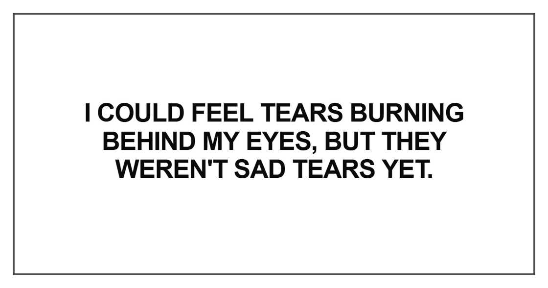 I could feel tears burning behind my eyes I could feel tears burning behind my eyes