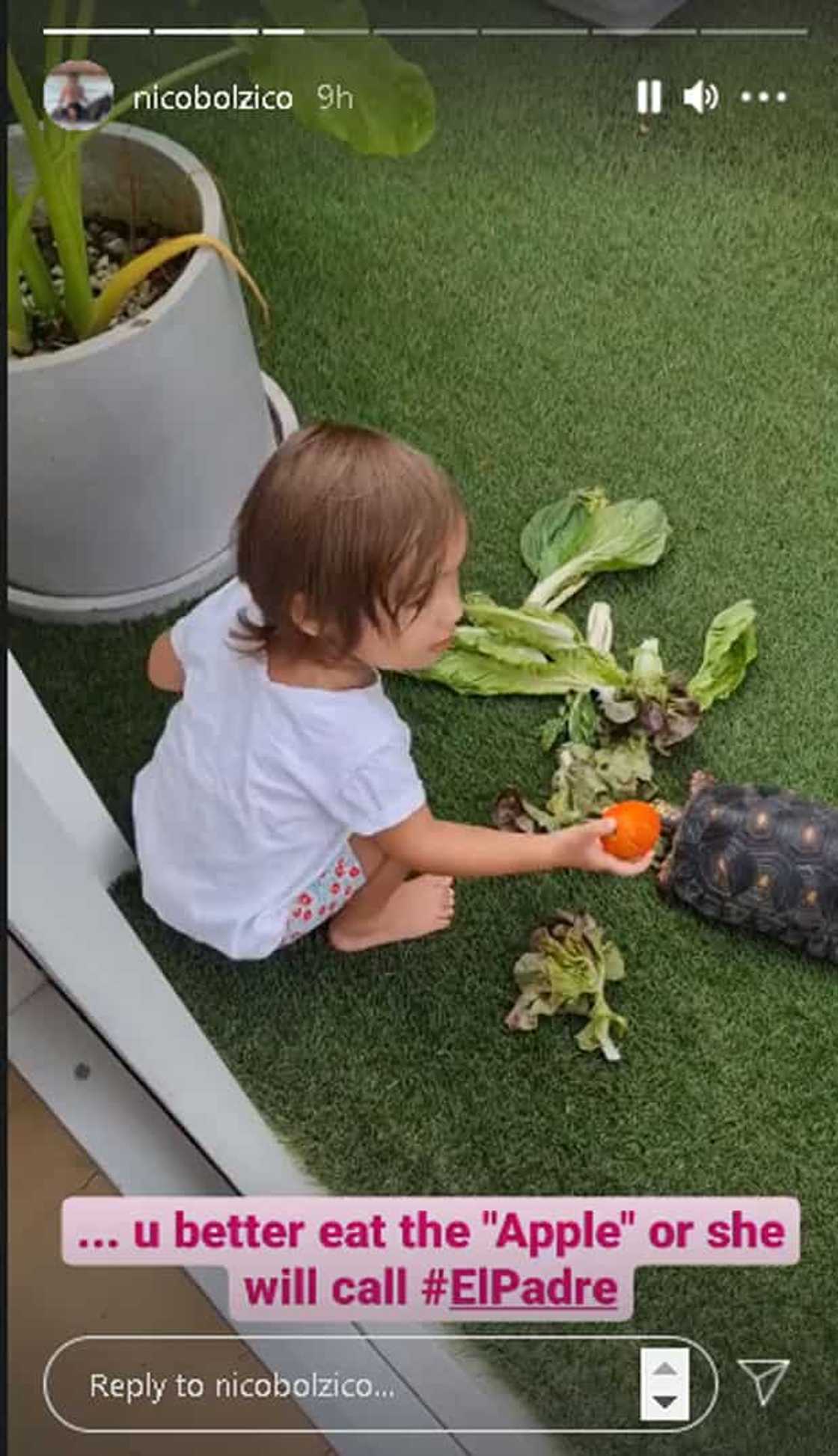 Nico Bolzico, ibinahagi ang cute na video ni Tili na pinapakain si Patato