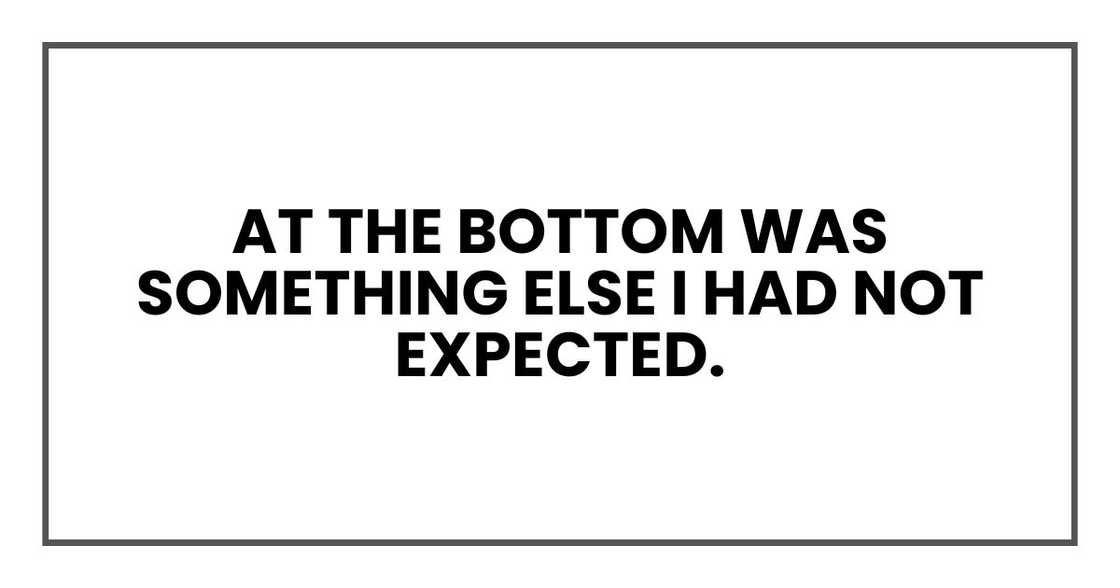 At the bottom was something else I had not expected. At the bottom was something else I had not expected.