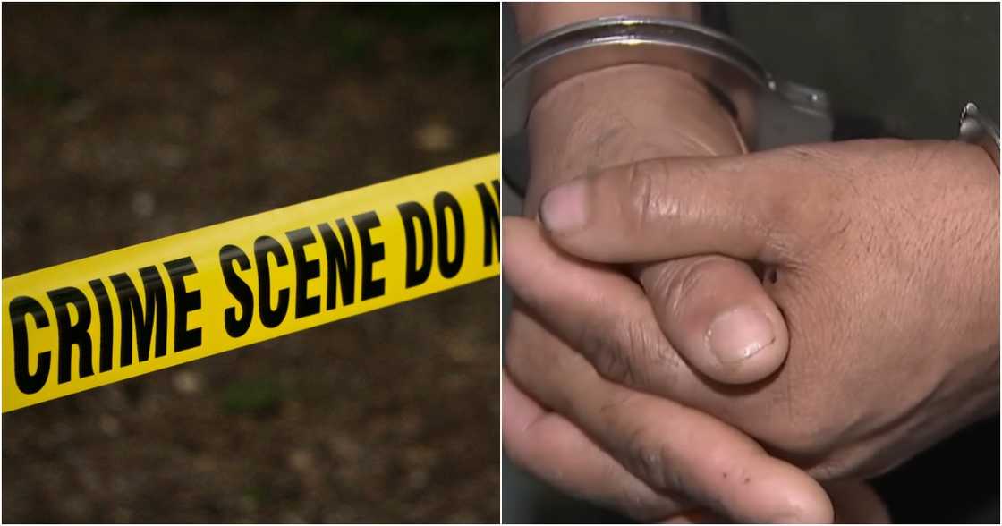 GMA Integrated News on YouTube
kat wilcox on Pexels GMA Integrated News on YouTube
kat wilcox on Pexels