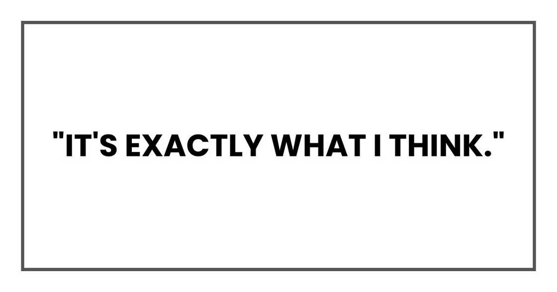 "It's exactly what I think." "It's exactly what I think."