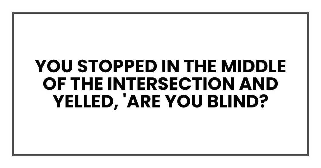 You stopped in the middle of the intersection and yelled, 'Are you blind?