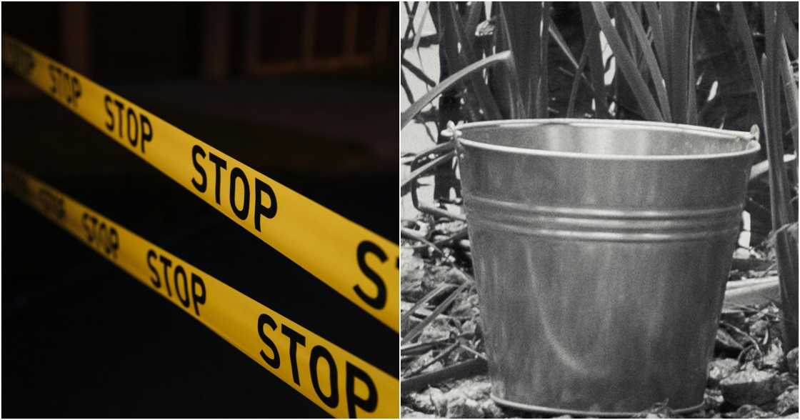 cottonbro studio on Pexels
Ника on Pexels cottonbro studio on Pexels
Ника on Pexels