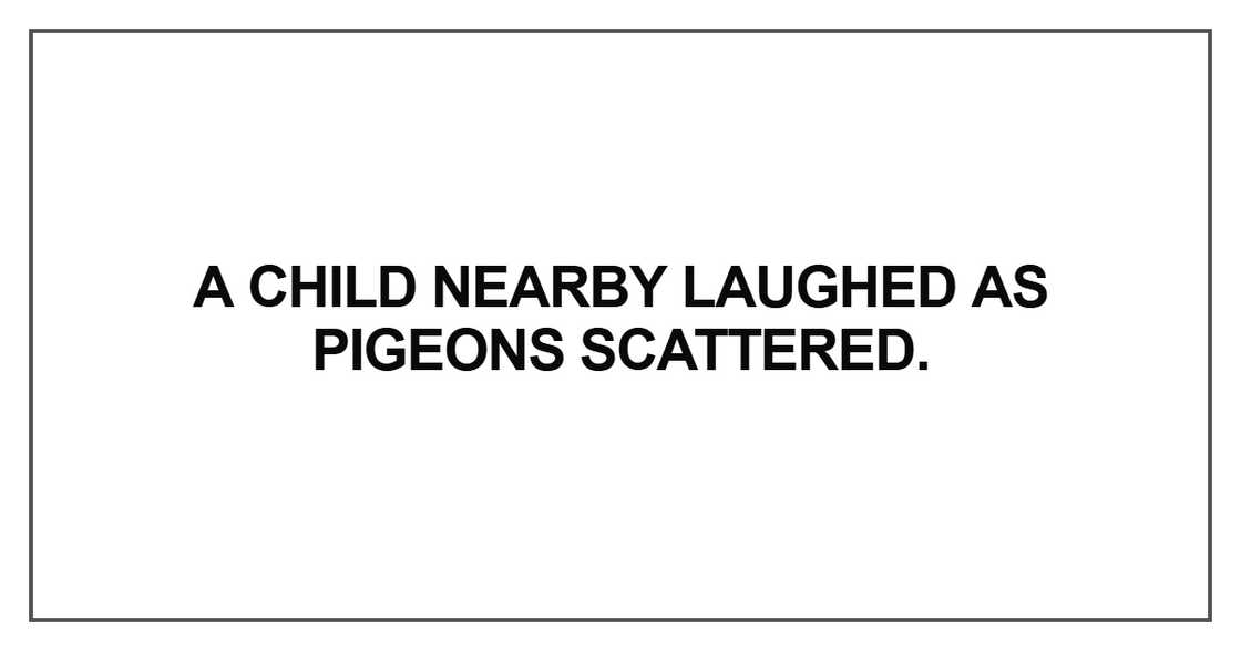 A child nearby laughed as pigeons scattered A child nearby laughed as pigeons scattered
