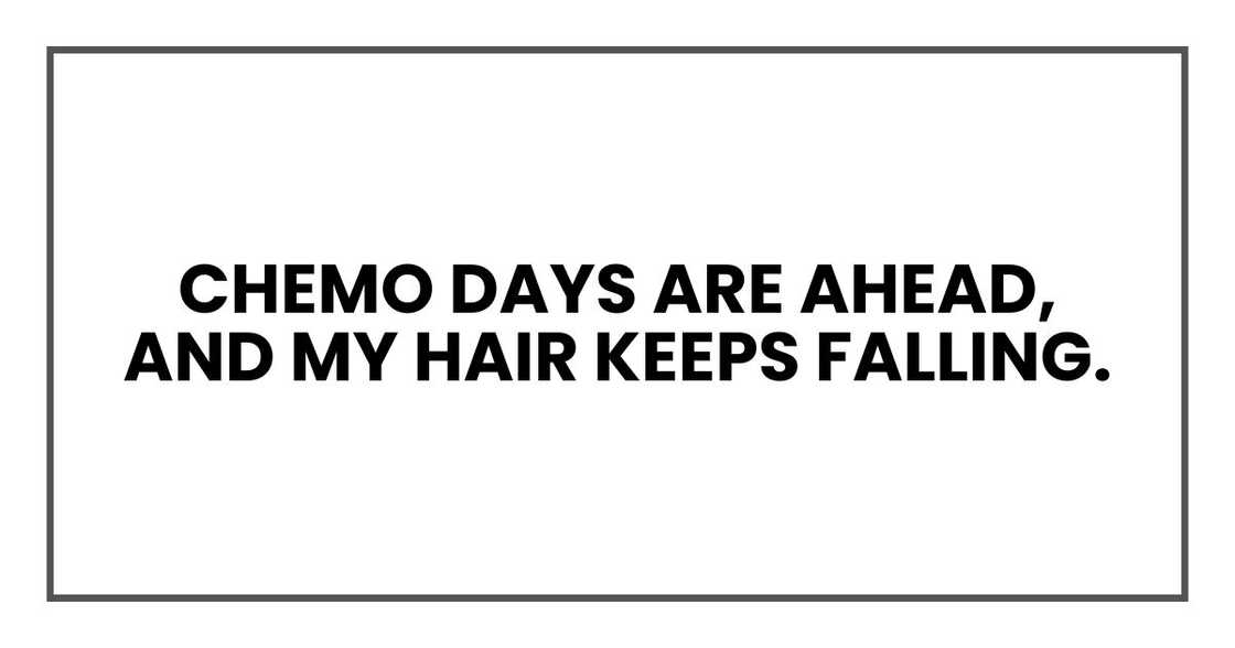 Chemo days are ahead, and my hair keeps falling. Chemo days are ahead, and my hair keeps falling.
