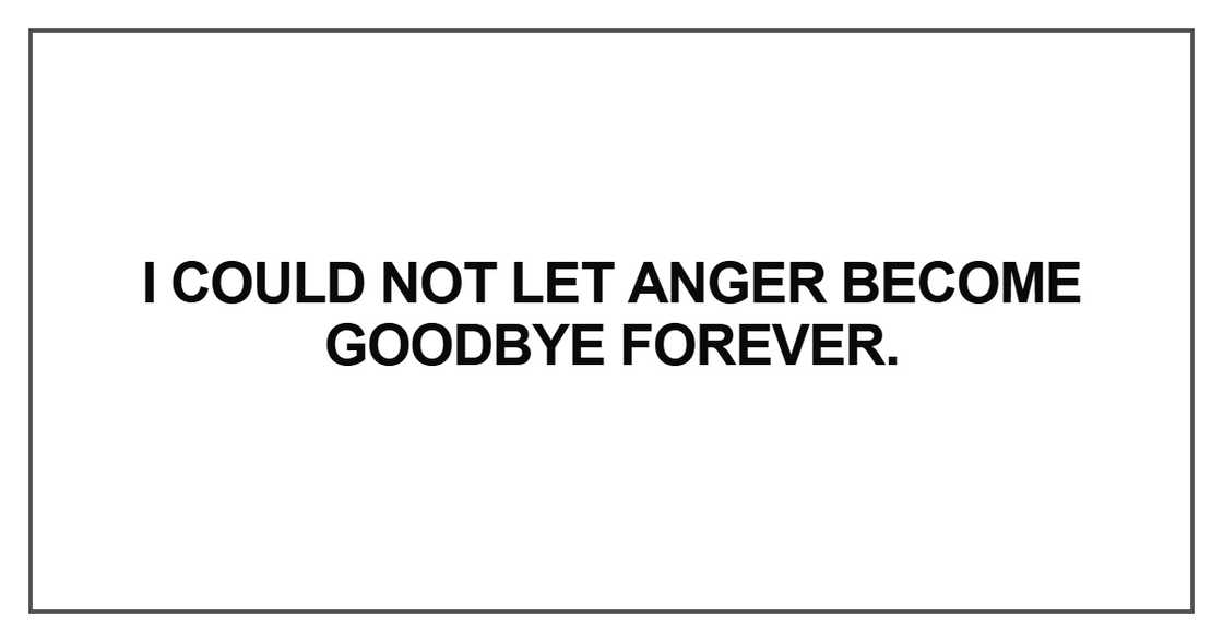I could not let anger