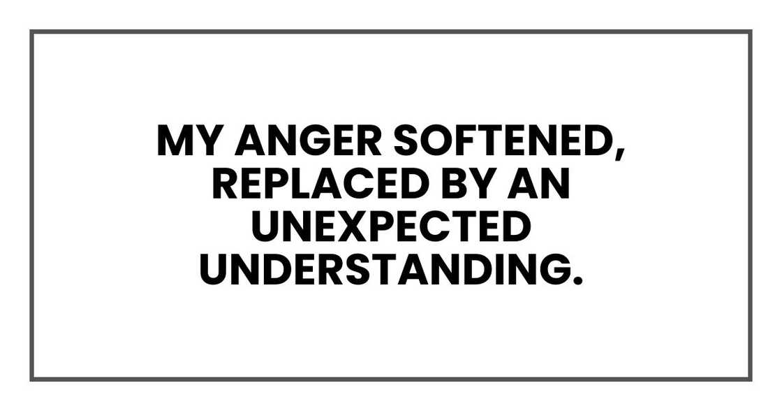 My anger softened, replaced by an unexpected understanding. My anger softened, replaced by an unexpected understanding.