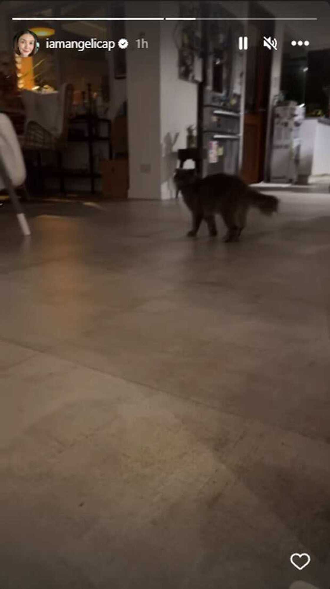 Photo: Angelica Panganiban (@iamangelicap) Photo: Angelica Panganiban (@iamangelicap)