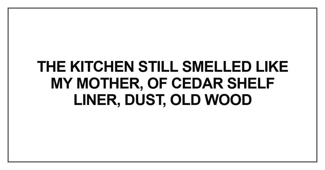 The kitchen still smelled The kitchen still smelled
