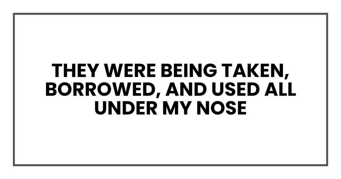 They were being taken, borrowed, and used all under my nose